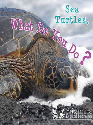 cover image of Sea Turtles, What Do You Do?